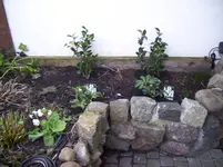 100_1663.webp 100_1663.webp