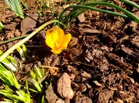 033.webp