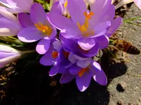 074.webp
