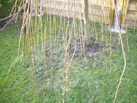 100_1652.webp 100_1652.webp