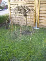 100_1653.webp 100_1653.webp