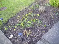 100_1649.webp