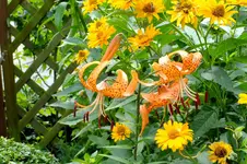 DSCF2179.webp