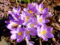 020.webp