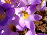 036.webp