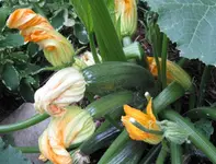IMG_3049-001.webp