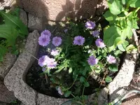 k-P1080192.webp