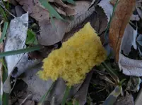 P1280387.webp