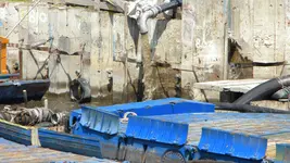 DSCN4984.webp