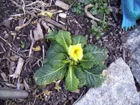 100_1662.webp