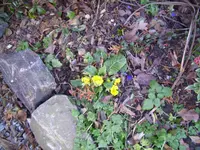 100_1669.webp