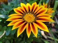 043.webp