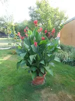 DSCN0699.webp
