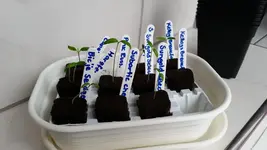 20150214_124945.webp