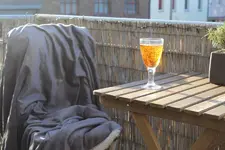 der erste 2015 002.webp