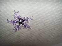 DSCF0016.webp