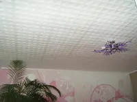 DSCF0013.webp