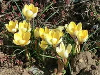 CIMG9982.webp