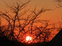 Sonnenuntergang_0003.webp