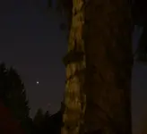 Venus.webp