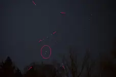 Orion.webp