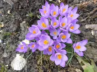 P1280441.webp