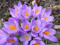 P1280442.webp