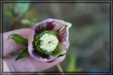 comp_DSC02760.webp