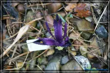 comp_DSC02762.webp