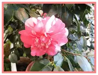 025.webp