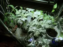 DSCN4336.2.webp