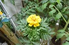 DSC_0085.2.webp