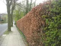 y14.04.20010 041 (2).webp