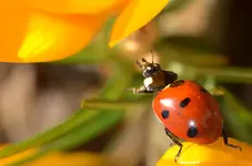 aaaa (5).webp