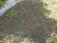 CIMG2335.webp