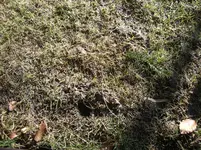 CIMG2334.webp