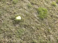 CIMG2333.webp