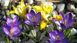 DSCN1841.webp