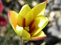 DSCN7087.webp