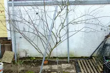 DSCF2609.webp