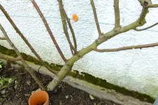 DSCF2610.webp