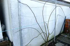 DSCF2613.webp