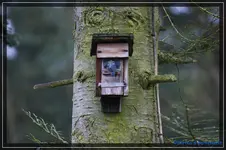comp_DSC02771.webp