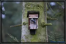 comp_DSC02773.webp