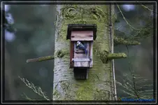 comp_DSC02774.webp