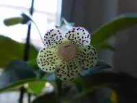 P1280481.webp
