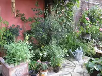 IMG_2961-002.webp