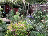 IMG_3361-001.webp