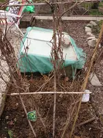 Garten 016.webp