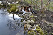 Mieze_0011.webp